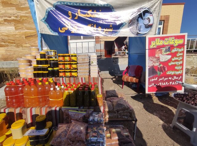 ملایر به ایستگاه پایانی جشنوارههای گردشگری رسید