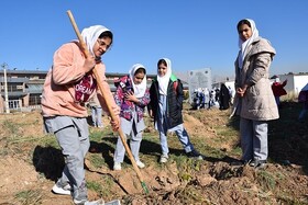 نخستین نهالستان دانش‌آموزی استان همدان افتتاح شد