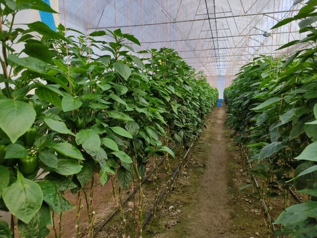 روایت پیشرفت همدان در دولت سیزدهم