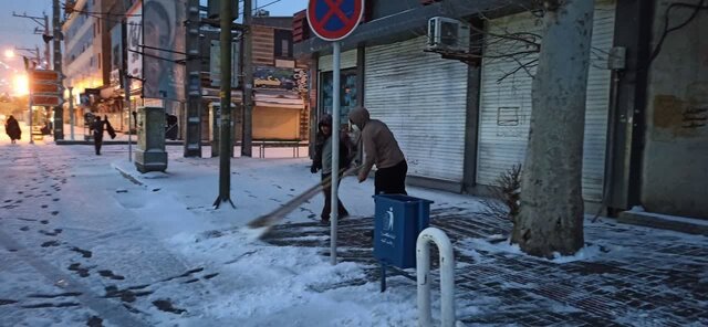 مردم درختان اطراف خود را برفتکانی کنند
