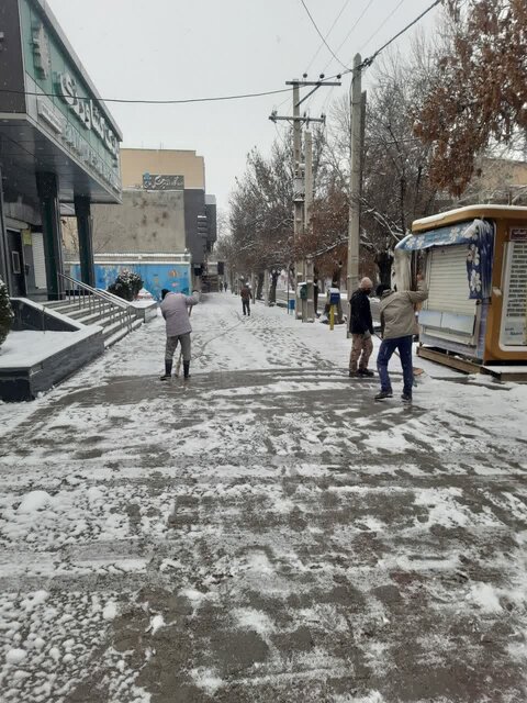 مردم درختان اطراف خود را برفتکانی کنند