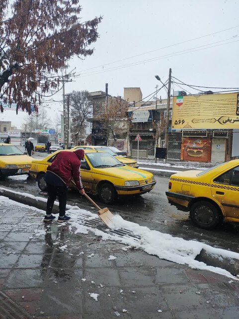 مردم درختان اطراف خود را برفتکانی کنند