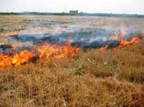 ۲۰ مورد آتش‌سوزی در مزارع و اراضی ملی اسدآباد طی روزهای اخیر