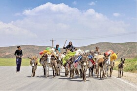 افتتاح ۶ پروژه عشایری استان همدان در هفته دولت