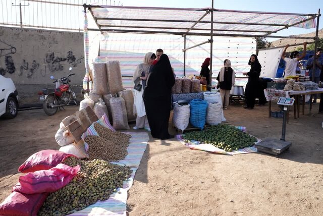 جشنوارههای ۳۰ روزه ملایر آغاز شد