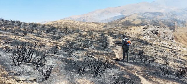 آتشسوزی ۳۰ساعته در منطقه حفاظت شده آلمابلاغ آتشسوزی ۳۰ساعته در منطقه حفاظت شده آلمابلاغ