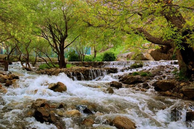 هیچ زمینی در پارک جنگلی  سراب گیان واگذار نمی‌شود