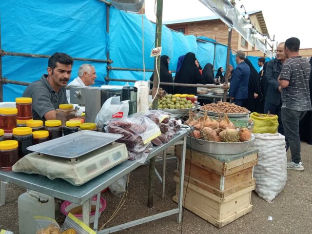 سومین جشنواره گردو بادام علی آباد؛ گامی به سوی رونق کشاورزی