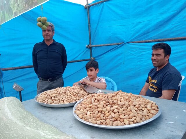 سومین جشنواره گردو بادام علی آباد؛ گامی به سوی رونق کشاورزی