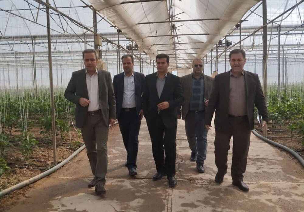 دورخیز رزن برای احداث ۱۰۰۰ هکتار گلخانه