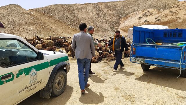 از ورود زودهنگام عشایر به مراتع ملایر قاطعانه جلوگیری میشود