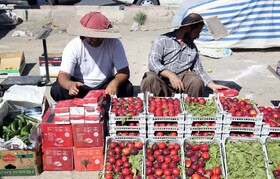 پیگیری برای ایجاد «روستابازار» در رزن