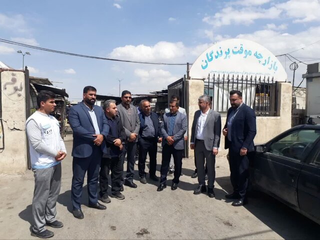 لزوم جابجایی بازارچه پرندگان همدان برای حفظ سلامت عمومی