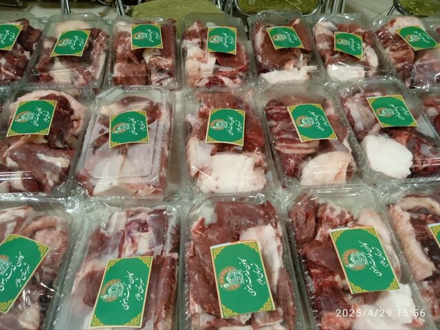 خانوادههای بیبضاعت ملایر پای سفره امام رضا(ع)