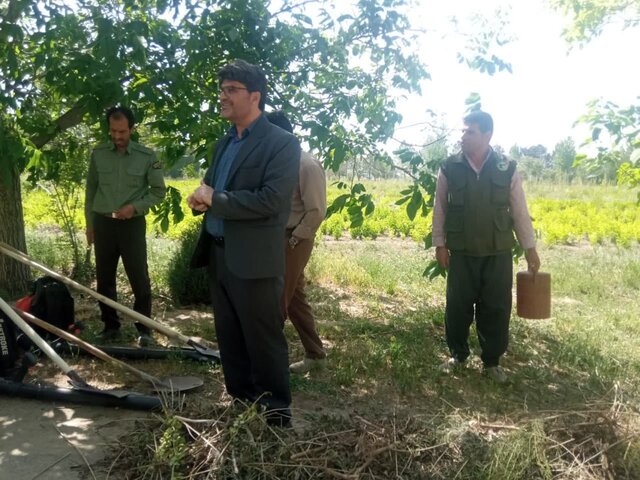 ۹۹ درصد حریق در مراتع ملایر عامل انسانی دارد