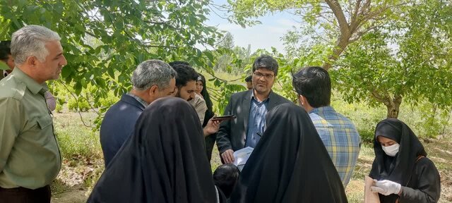 ۹۹ درصد حریق در مراتع ملایر عامل انسانی دارد