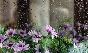 بارش ۲ میلیمتری باران در دامنه الوند/ ماندگاری گرد و غبار در همدان