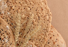 راه‌اندازی ۵ واحد نانوایی نان کامل در آینده نزدیک در درگزین