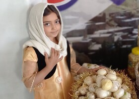 پیش‌بینی برداشت ۱۲۰۰ تن موسیر از مزارع همدان