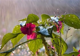 احتمال بارش پراکنده در برخی نقاط همدان