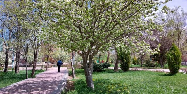 پیش‌بینی پایان هفته خنک برای همدان