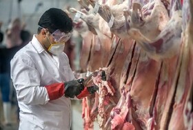 همدانی‌ها دام قربانی خود را در کشتارگاه‌ها ذبح کنند
