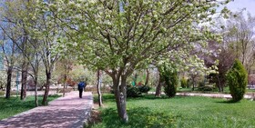 خنکی نسبی دمای هوای همدان در هفته پیش‌رو
