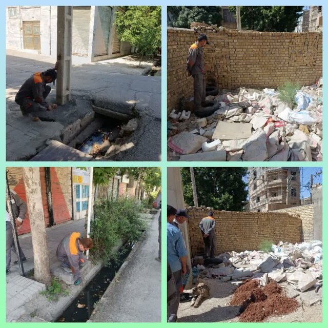 درآمدزایی شهرداری ملایر از فروش برگهای پاییزی