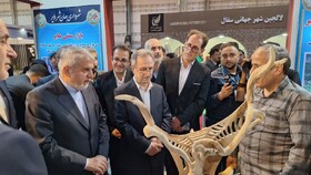 نمایشگاه بین‌المللی گردشگری سلامت؛ فرصتی ارزشمند برای معرفی هنر اصیل منبت‌کاری ملایر