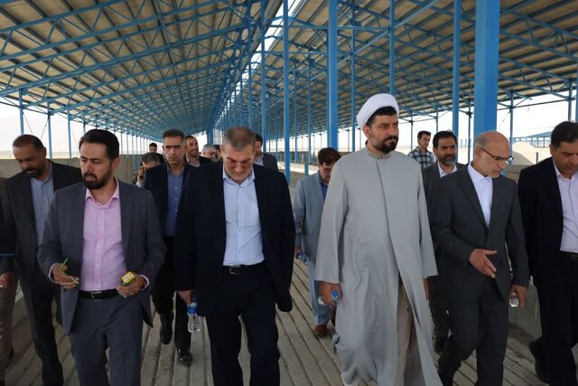 ملایر ظرفیت تبدیلشدن به قطب دامپروری کشور را دارد