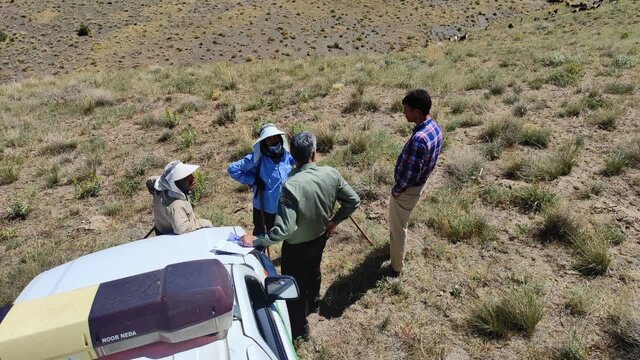 تخریبکنندگان اراضی ملی ملایر به مراجع قضایی معرفی شدند