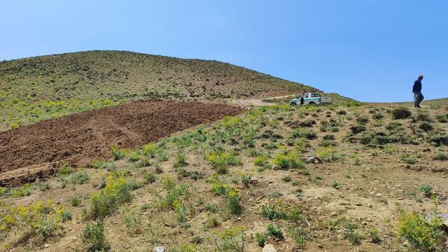 تخریبکنندگان اراضی ملی ملایر به مراجع قضایی معرفی شدند