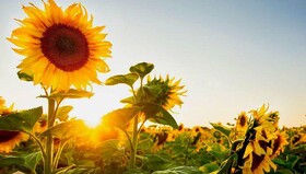 هوای همدان خنک می‌شود