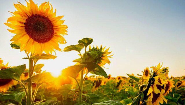 هوای همدان خنک می‌شود
