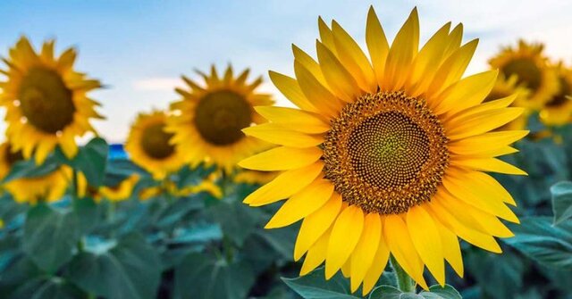 کاهش یک تا دو درجه‌ای دما در همدان