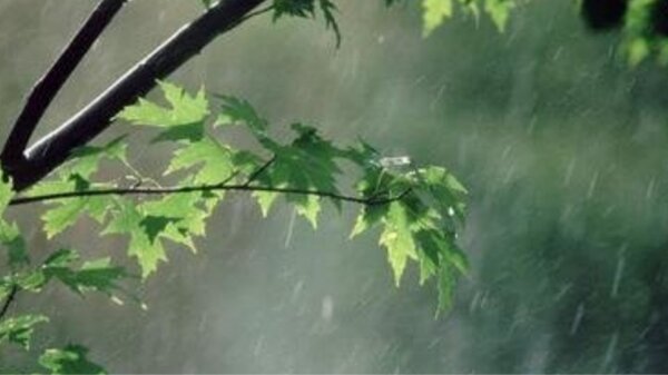 بارش نقطه‌ای و رگباری باران در همدان