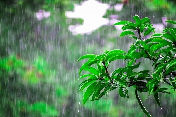احتمال بارش‌ پراکنده باران در همدان/ وزش باد همراه با غبار رقیق