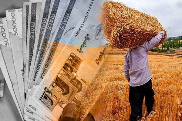 پرداخت مطالبات گندمکاران همدانی آغاز شد