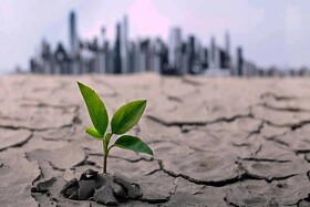 بحران آب ‌می‌تواند فرصتی برای حرکت به سمت کشاورزی هوشمند باشد