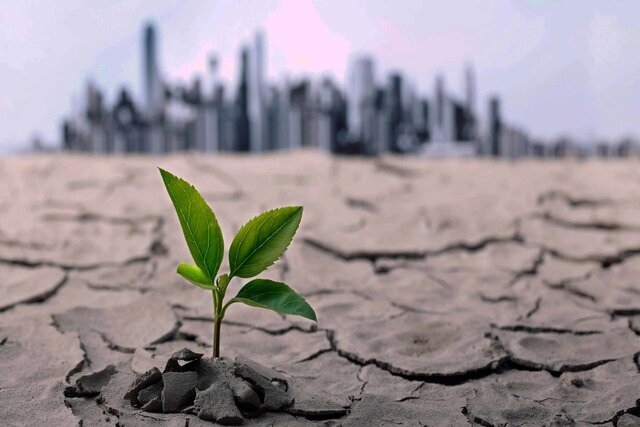 بحران آب ‌می‌تواند فرصتی برای حرکت به سمت کشاورزی هوشمند باشد