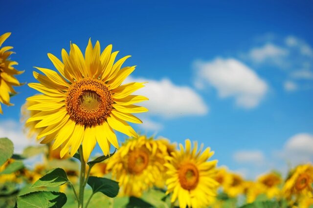 از گرمای هوای همدان کاسته می‌شود