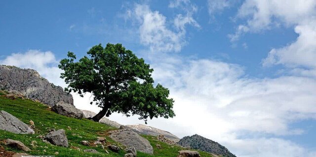افزایش سرعت باد در همدان/ ثبات نسبی دماهای صبحگاهی