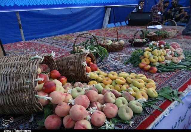 باغ‌های پالیز اسدآباد ظرفیت گردشگری کشاورزی را دارد