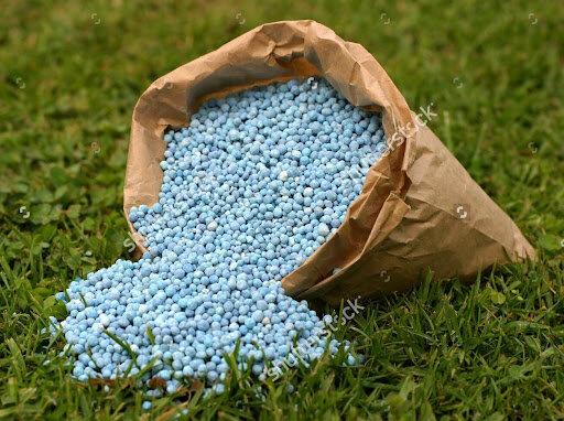 توزیع ۳۱ هزار تن کود کشاورزی برای گندم و جو در همدان
