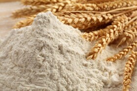 نخستین نمایشگاه صنعت آرد و نان در همدان برگزار می‌شود
