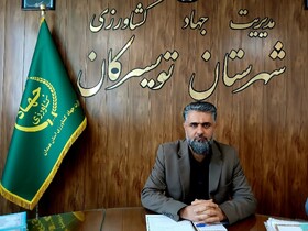 تثبیت جایگاه جهانی گردوی تویسرکان در اولویت است