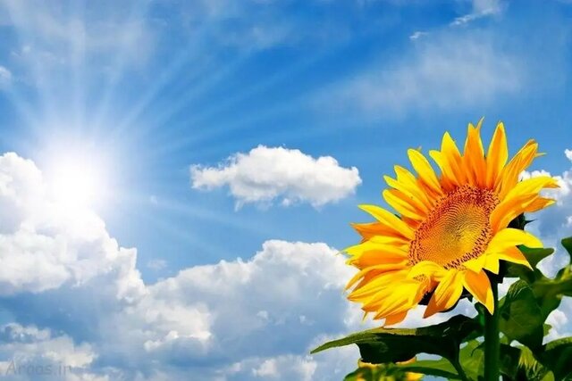 افزایش یک تا دو درجه‌ای دمای هوای همدان در پایان هفته‌جاری