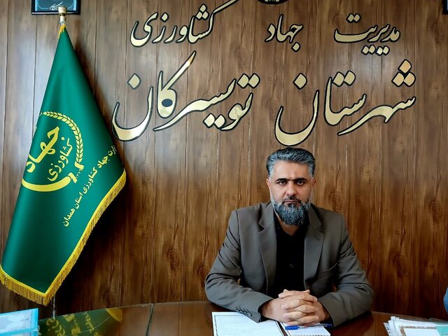 تثبیت جایگاه جهانی گردوی تویسرکان در اولویت است
