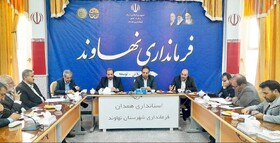 خام‌فروشی معادن ضربه به توسعه نهاوند است