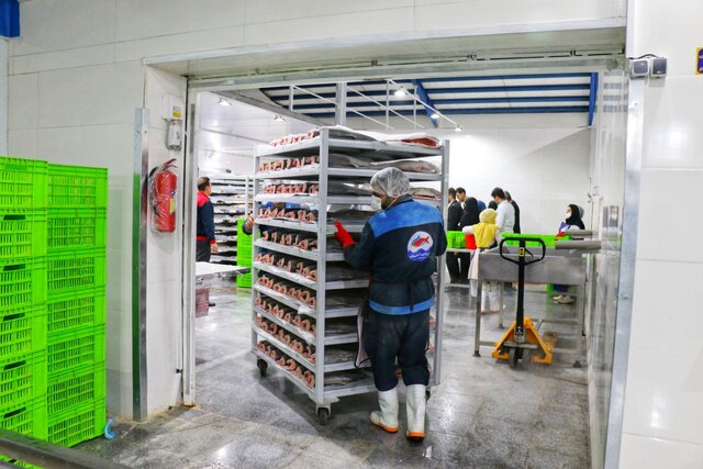 فعالیت ۱۹۰ واحد مزرعه پرورش آبزیان در همدان /توسعه همکاریهای شیلاتی برای اخذ مجوز صادرات